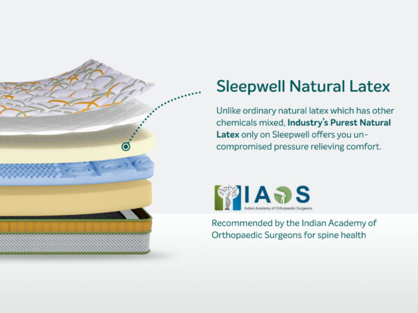 Spinetech Luxury Mattress - Image 2