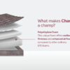 Champ Regular Mattress - Image 2