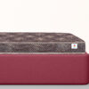 Champ Regular Mattress - Image 4